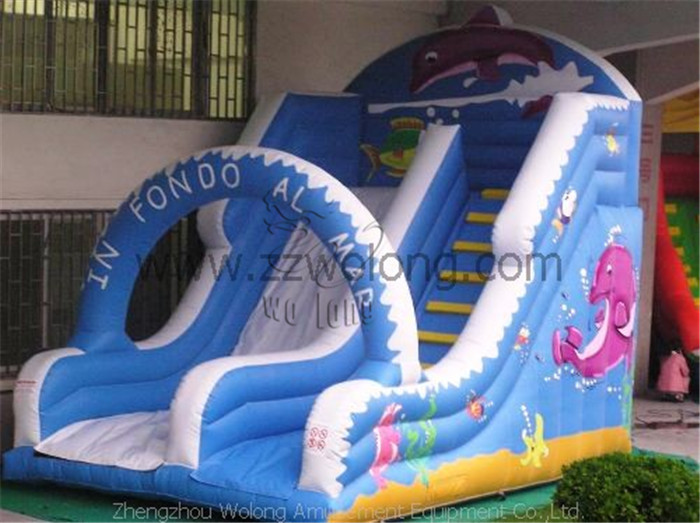  Inflatable Slide-Cetacean Slide
