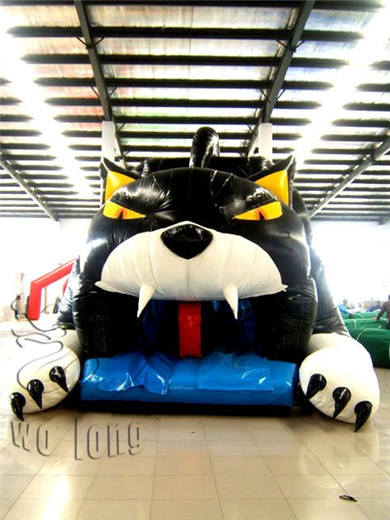 Inflatable Slide-Cat Slide