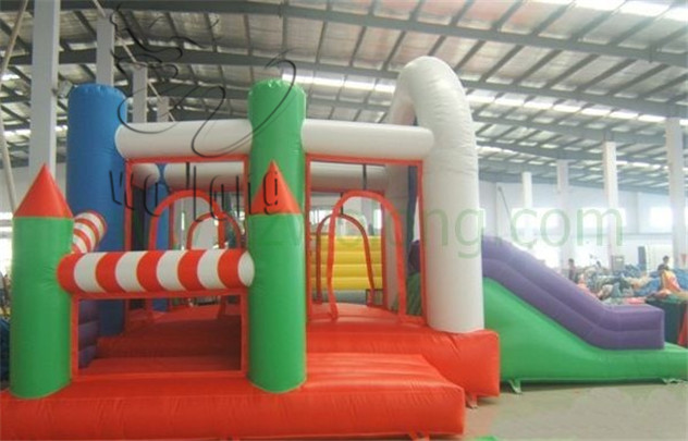 inflatable bouncer(5)